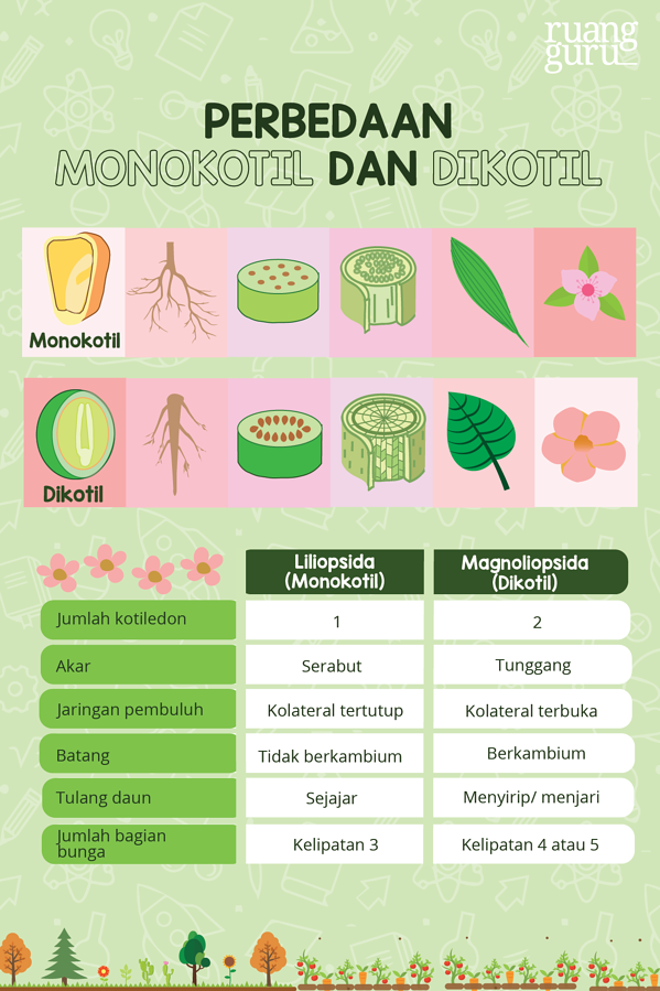 detail-contoh-tabel-terbuka-koleksi-nomer-50