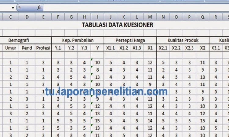 Detail Contoh Tabulasi Data Nomer 3
