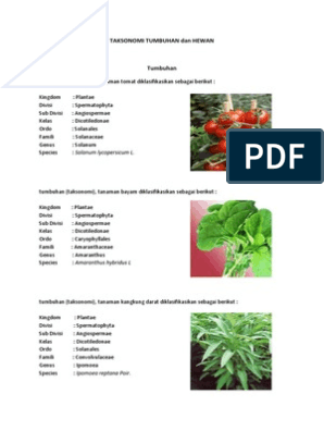 Detail Contoh Taksonomi Tumbuhan Nomer 18