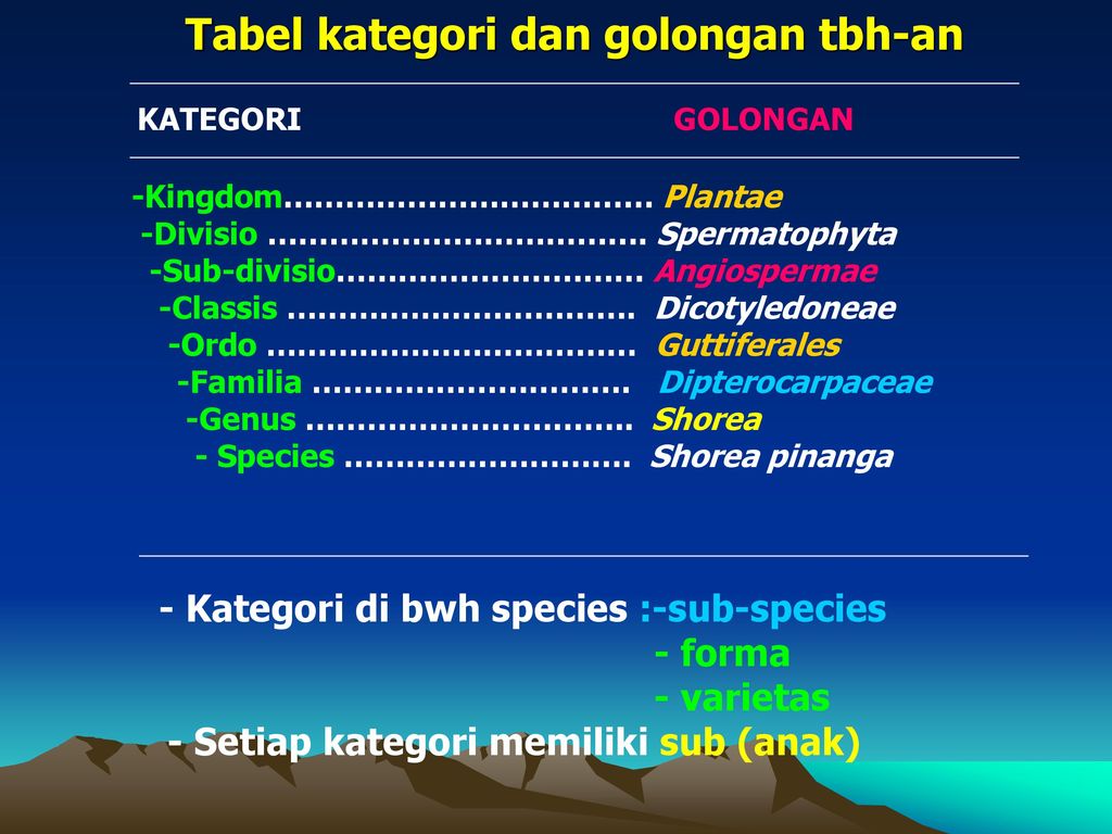 Detail Contoh Taksonomi Tumbuhan Nomer 24