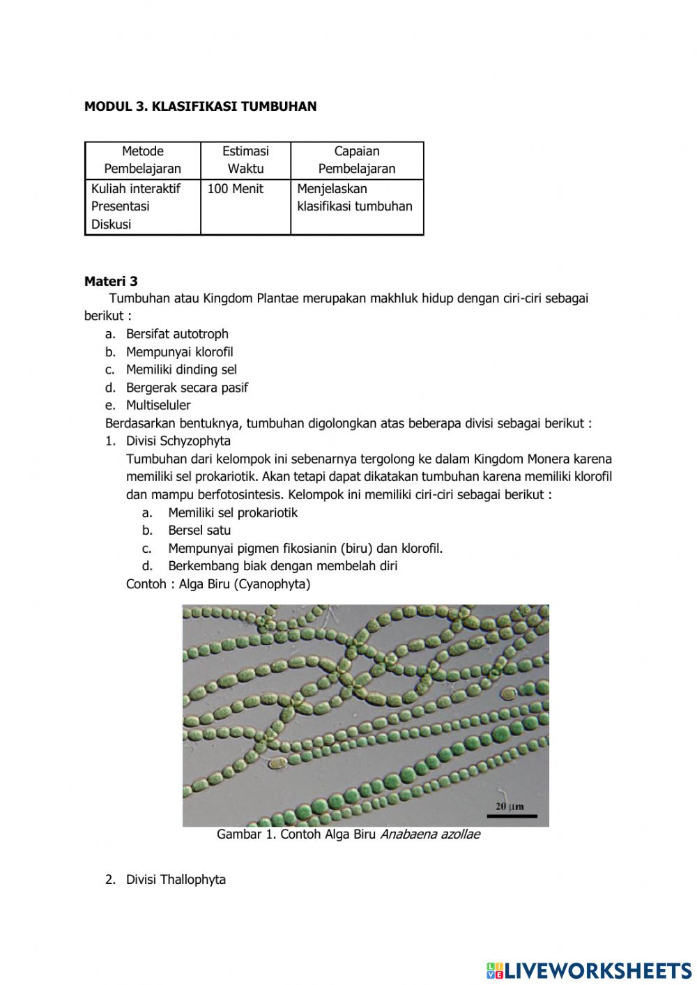 Detail Contoh Taksonomi Tumbuhan Nomer 37