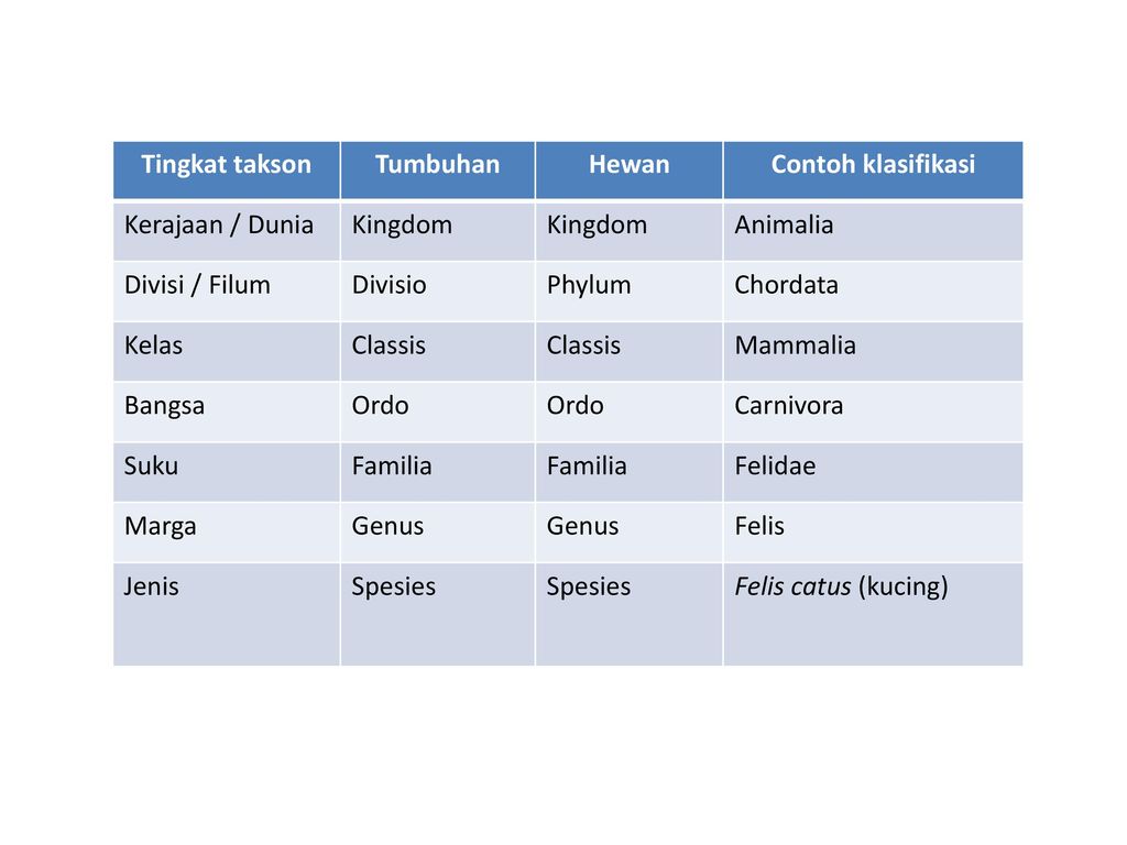 Detail Contoh Taksonomi Tumbuhan Nomer 47