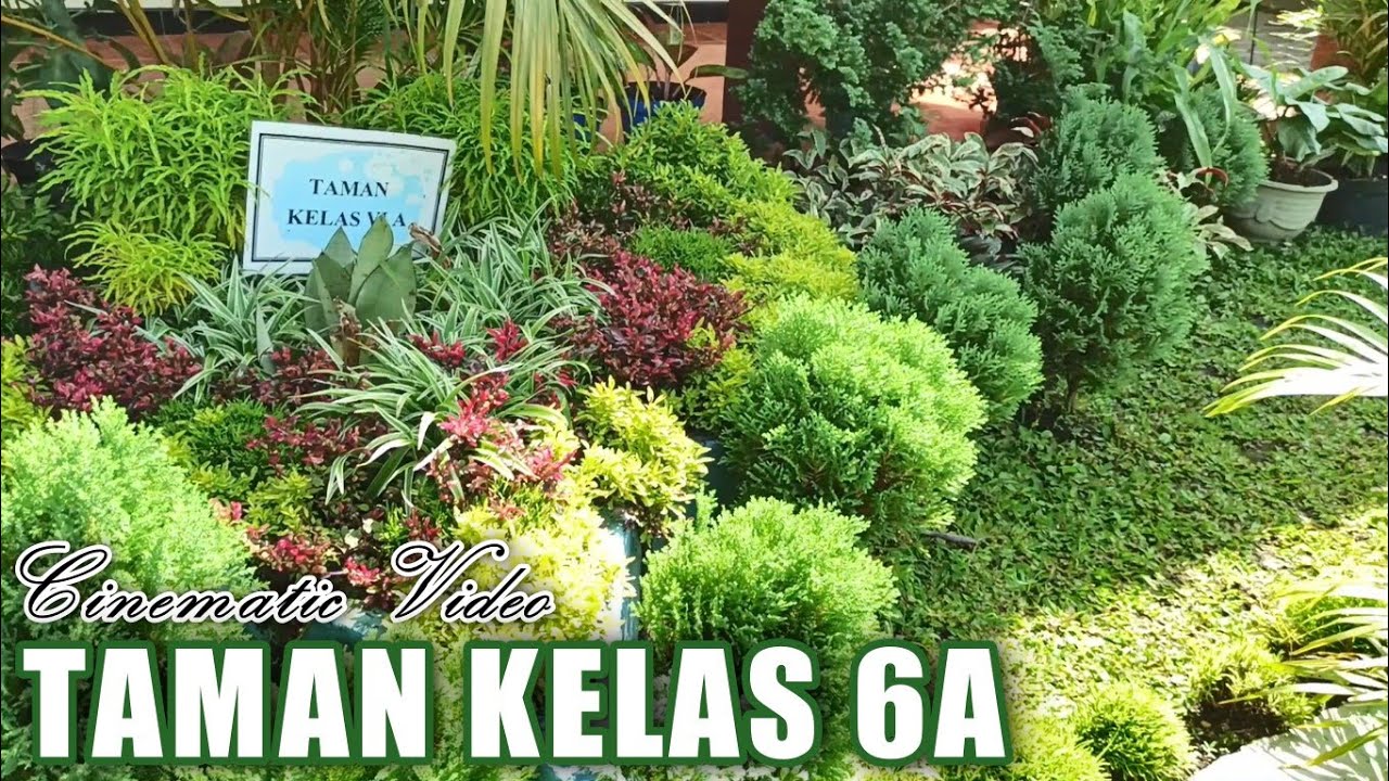 Detail Contoh Taman Depan Kelas Yang Simple Nomer 4