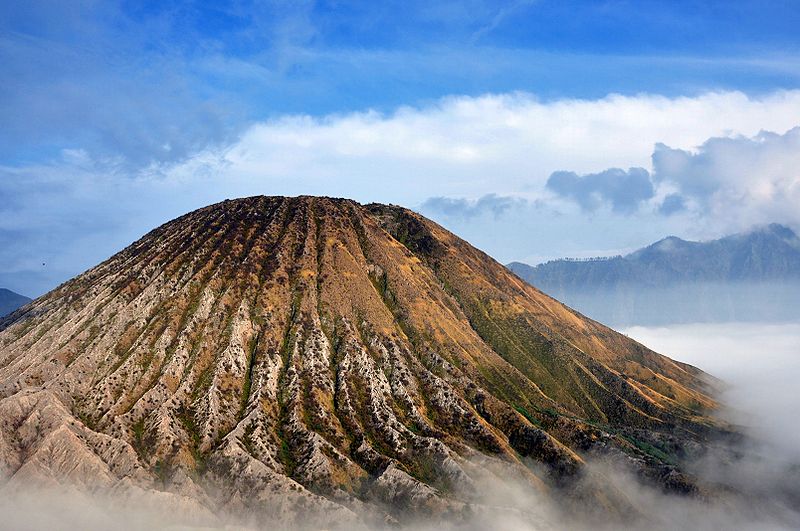 Detail Contoh Taman Nasional Di Indonesia Nomer 22