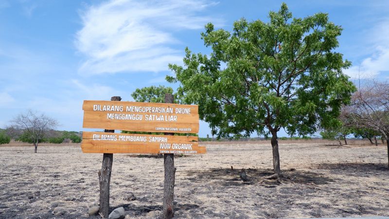 Detail Contoh Taman Nasional Di Indonesia Nomer 32