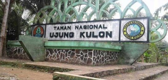 Detail Contoh Taman Nasional Di Indonesia Nomer 37