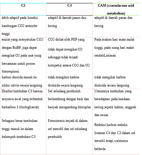 Detail Contoh Tanaman C3 C4 Dan Cam Nomer 14