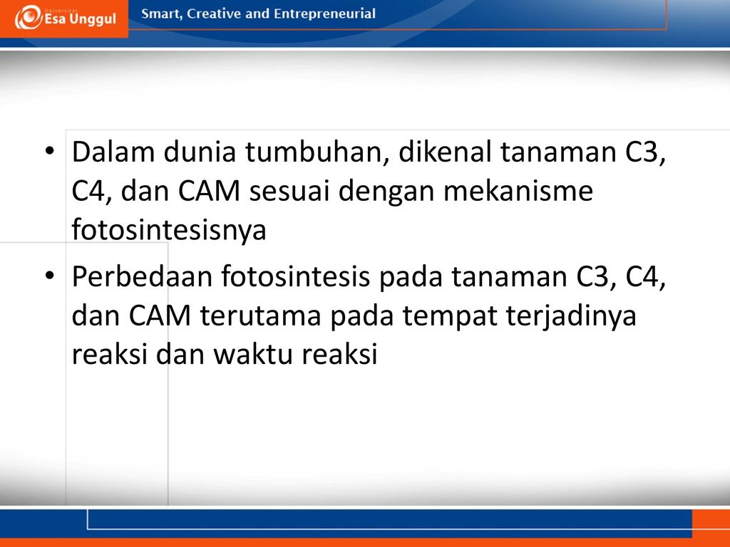 Detail Contoh Tanaman C3 C4 Dan Cam Nomer 40