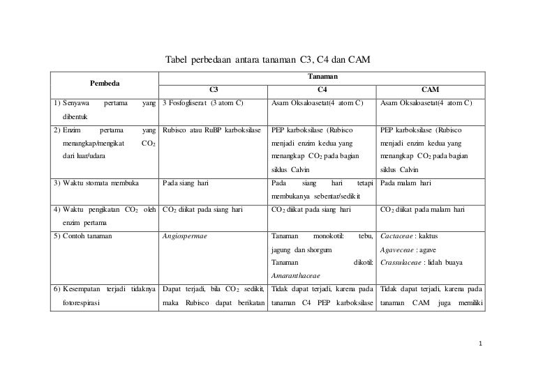 Detail Contoh Tanaman C3 C4 Dan Cam Nomer 6