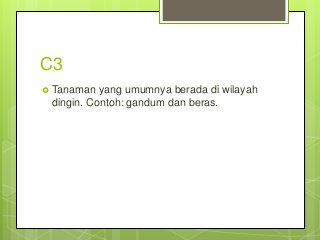 Detail Contoh Tanaman C3 C4 Dan Cam Nomer 46