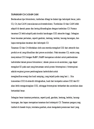 Detail Contoh Tanaman C3 C4 Dan Cam Nomer 47