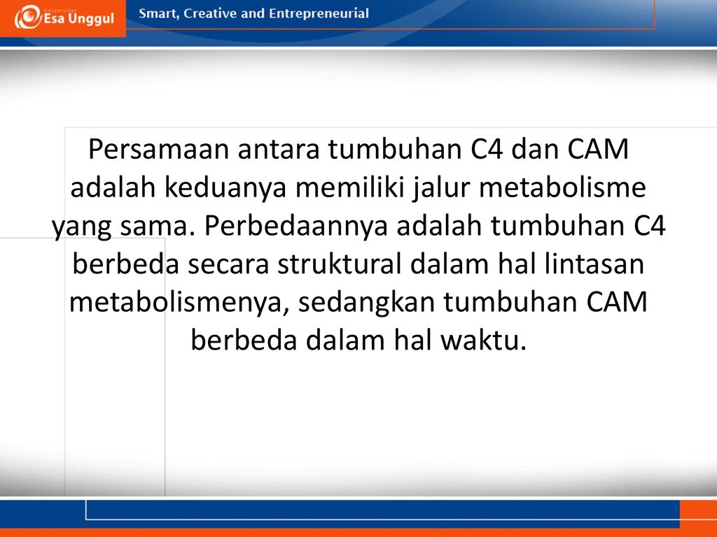 Detail Contoh Tanaman C3 C4 Dan Cam Nomer 51