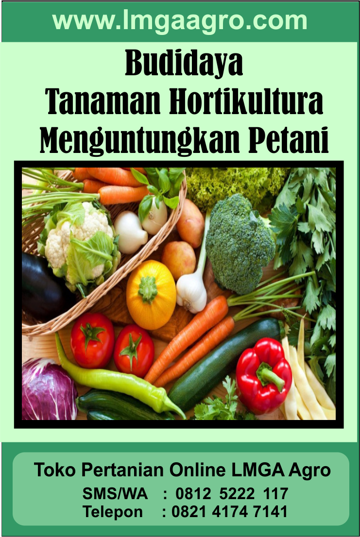 Detail Contoh Tanaman Hortikultura Nomer 39