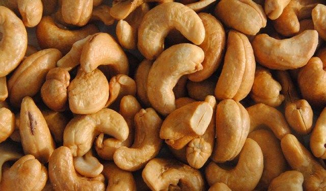 Detail Contoh Tanaman Kacang Kacangan Nomer 44