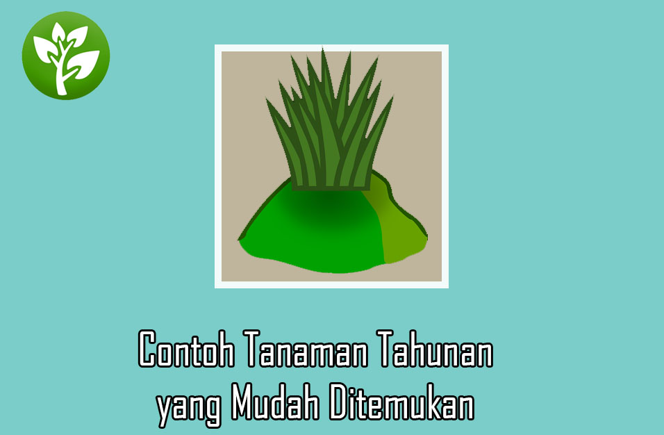 Detail Contoh Tanaman Perkebunan Nomer 37