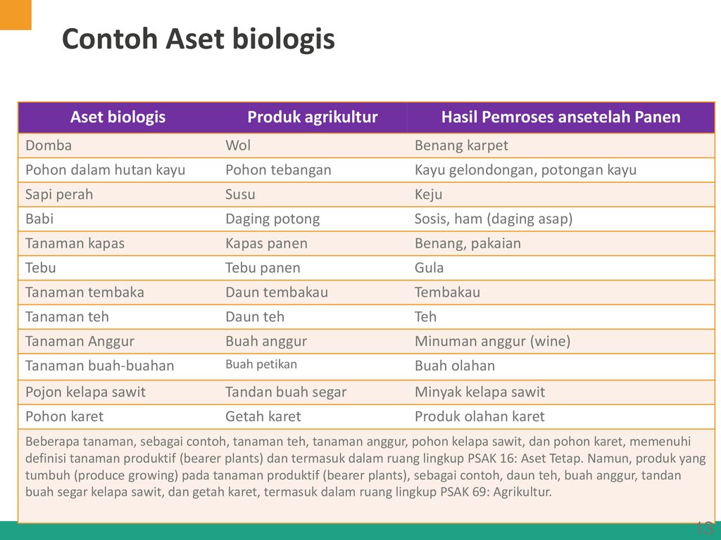 Detail Contoh Tanaman Produktif Nomer 40