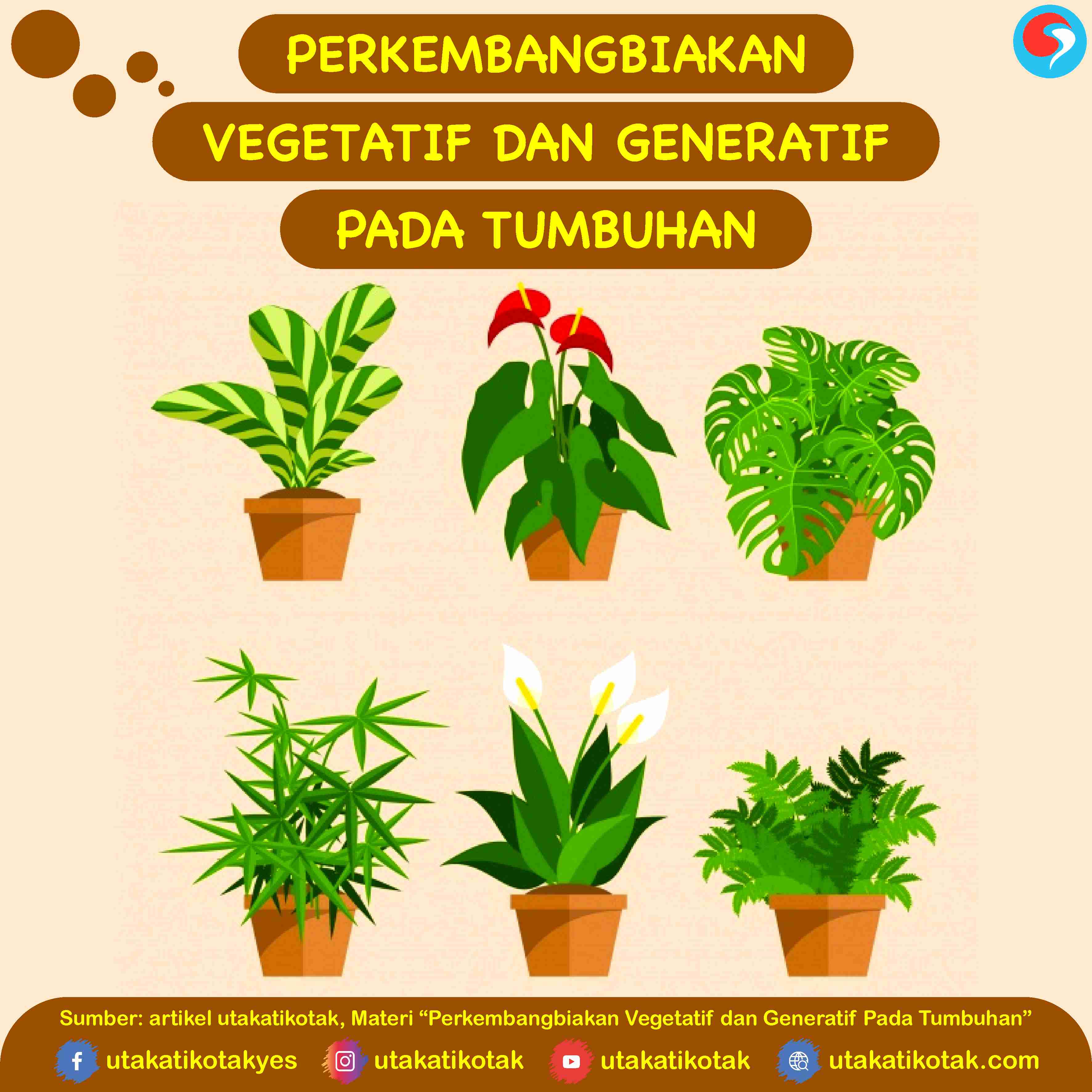 Detail Contoh Tanaman Vegetatif Dan Generatif Nomer 2