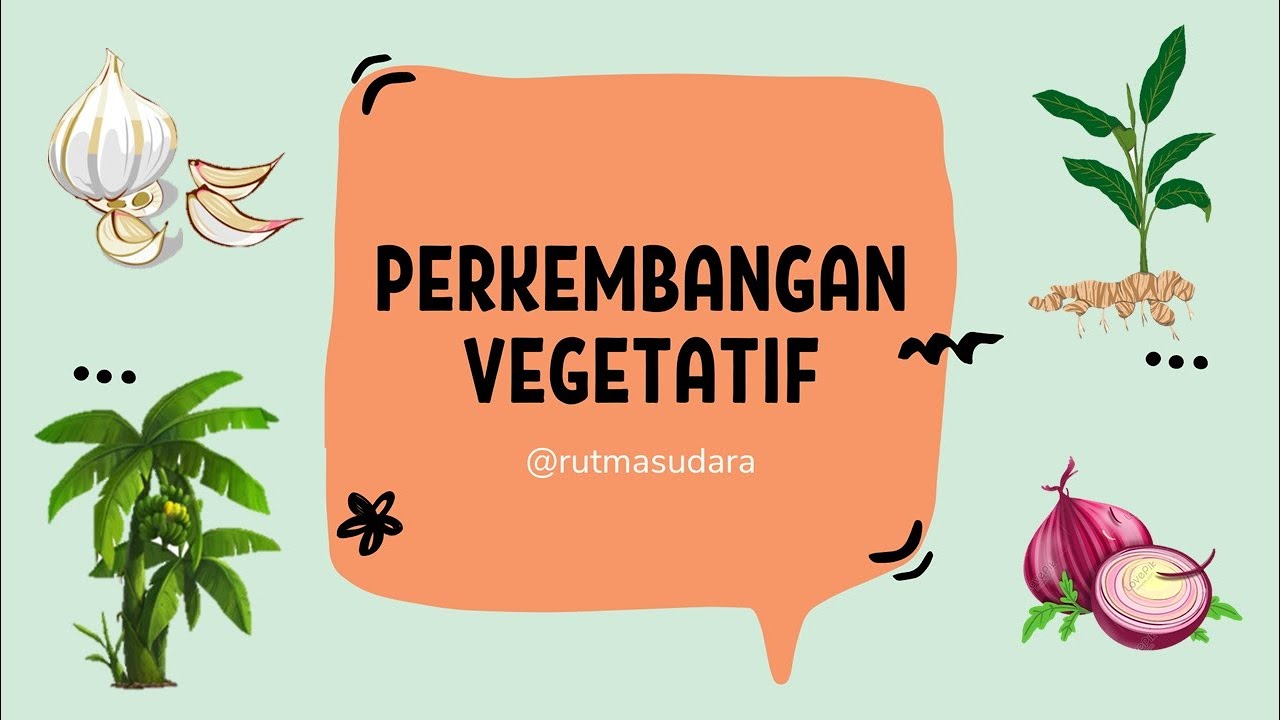 Detail Contoh Tanaman Vegetatif Dan Generatif Nomer 28