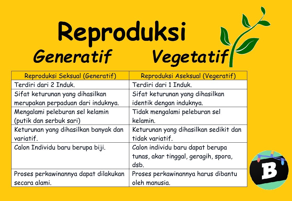 Detail Contoh Tanaman Vegetatif Dan Generatif Nomer 33