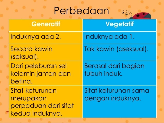 Detail Contoh Tanaman Vegetatif Dan Generatif Nomer 42