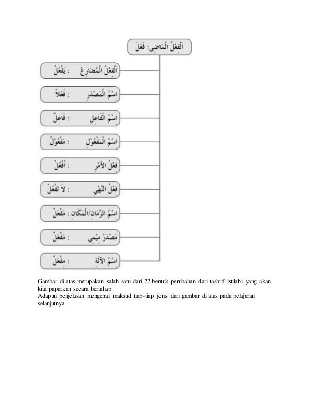 Detail Contoh Tashrif Istilahi Nomer 35