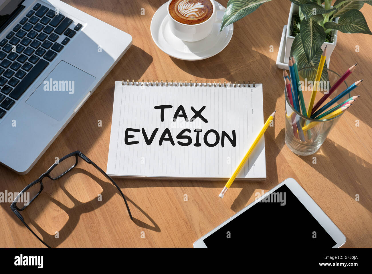 Detail Contoh Tax Evasion Nomer 15