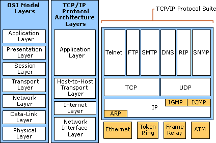 Detail Contoh Tcp Ip Nomer 34