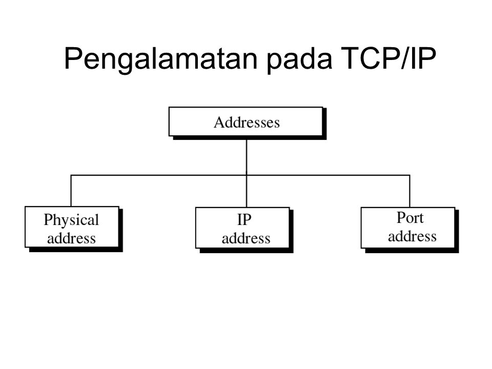 Detail Contoh Tcp Ip Nomer 43