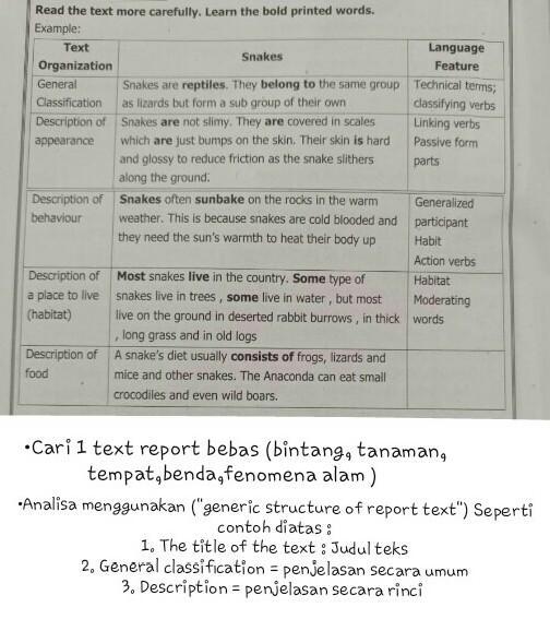 Detail Contoh Technical Terms Nomer 29