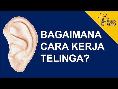 Detail Contoh Teks Negosiasi Larangan Membawa Sepeda Motor Ke Sekolah Nomer 33