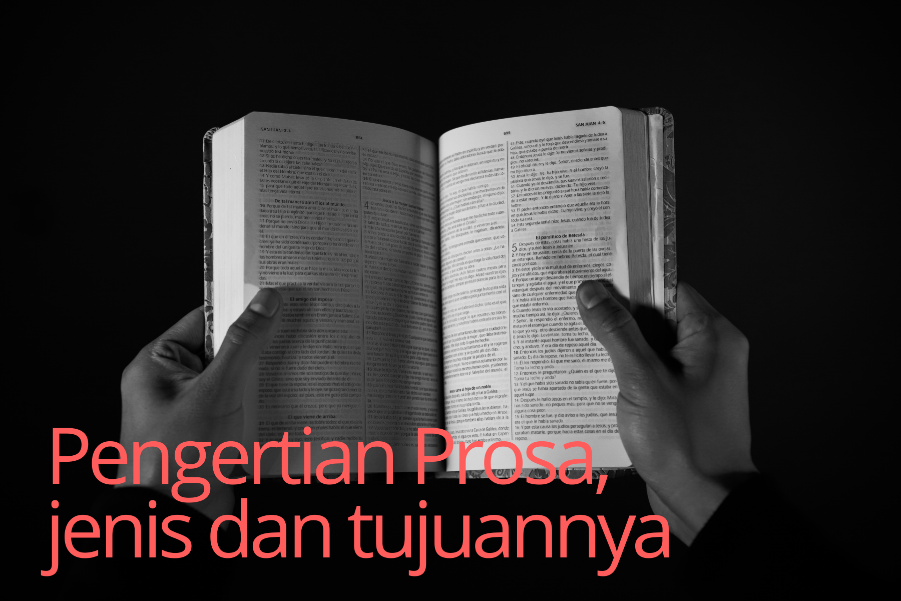 Detail Contoh Teks Prosa Nomer 47