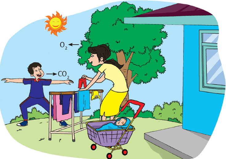 Detail Contoh Teks Visual Nomer 22