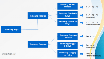 Download Contoh Tembung Lingga Nomer 48