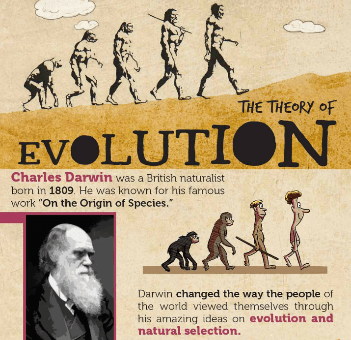 Detail Contoh Teori Evolusi Darwin Nomer 17