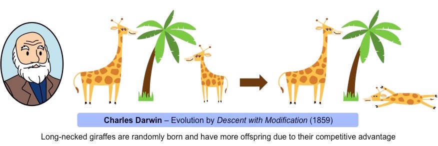 Detail Contoh Teori Evolusi Darwin Nomer 4