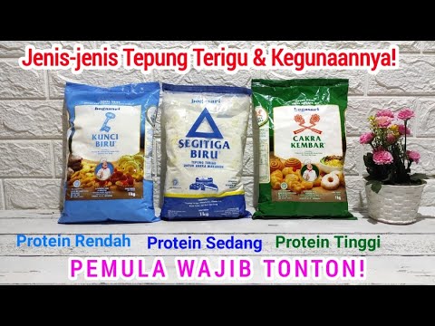 Detail Contoh Tepung Protein Sedang Nomer 6