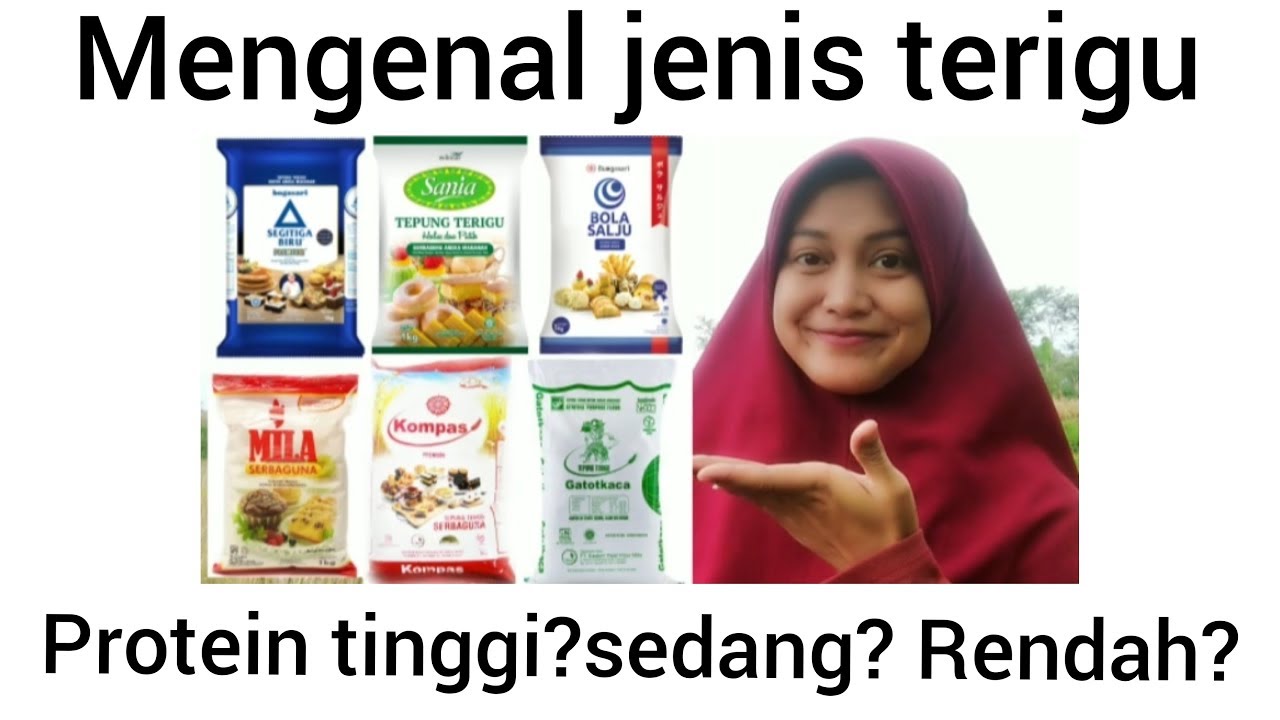 Detail Contoh Tepung Protein Tinggi Nomer 12