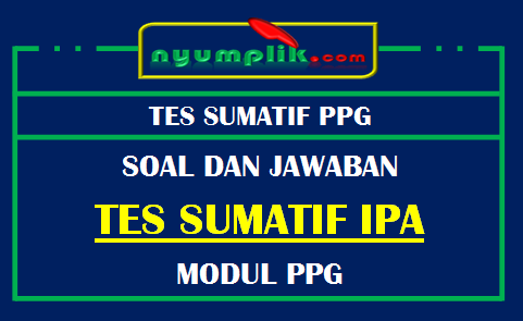 Detail Contoh Tes Formatif Nomer 44