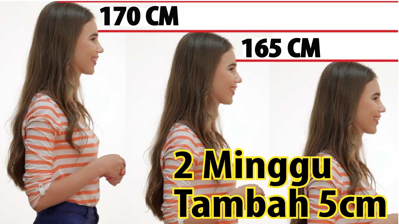 Detail Contoh Tinggi Badan 170 Cm Nomer 51