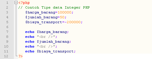 Detail Contoh Tipe Data Nomer 40