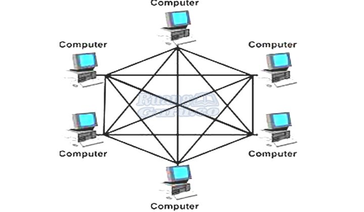 Detail Contoh Topologi Mesh Nomer 18