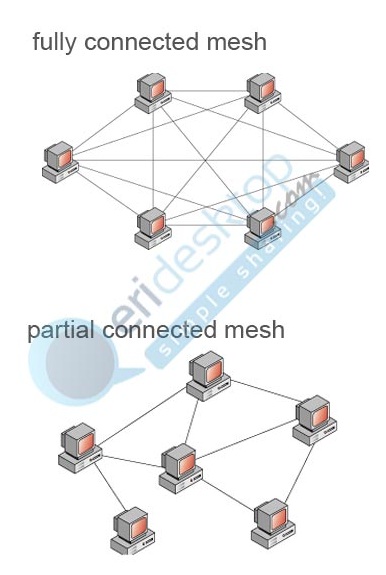 Detail Contoh Topologi Mesh Nomer 45