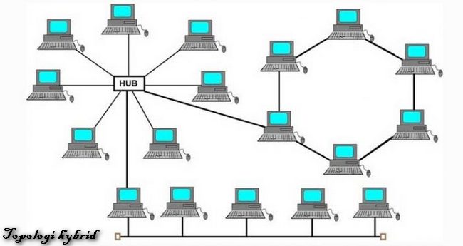 Detail Contoh Topologi Tree Nomer 13