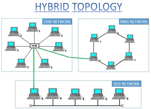 Detail Contoh Topologi Tree Nomer 19