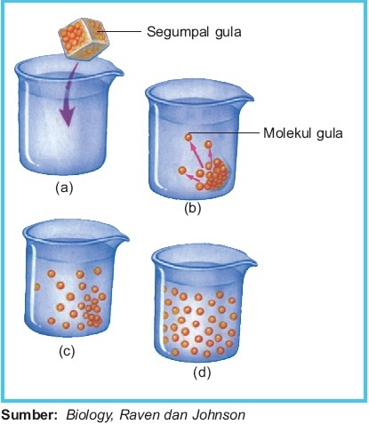 Detail Contoh Transpor Pasif Nomer 10