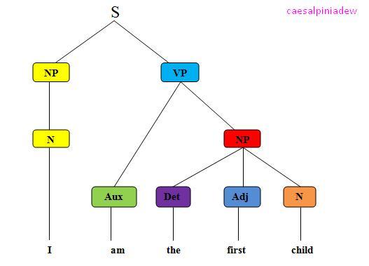Contoh Tree Diagram Syntax - 55+ Koleksi Gambar