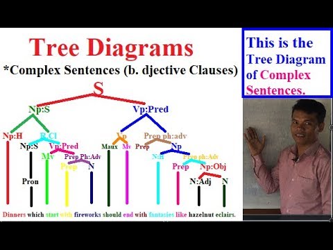 Contoh Tree Diagram Syntax - 55+ Koleksi Gambar