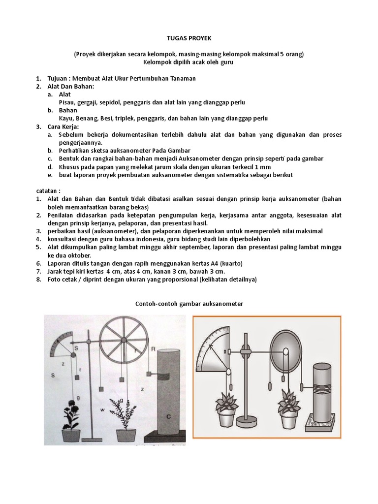 Detail Contoh Tugas Proyek Nomer 24