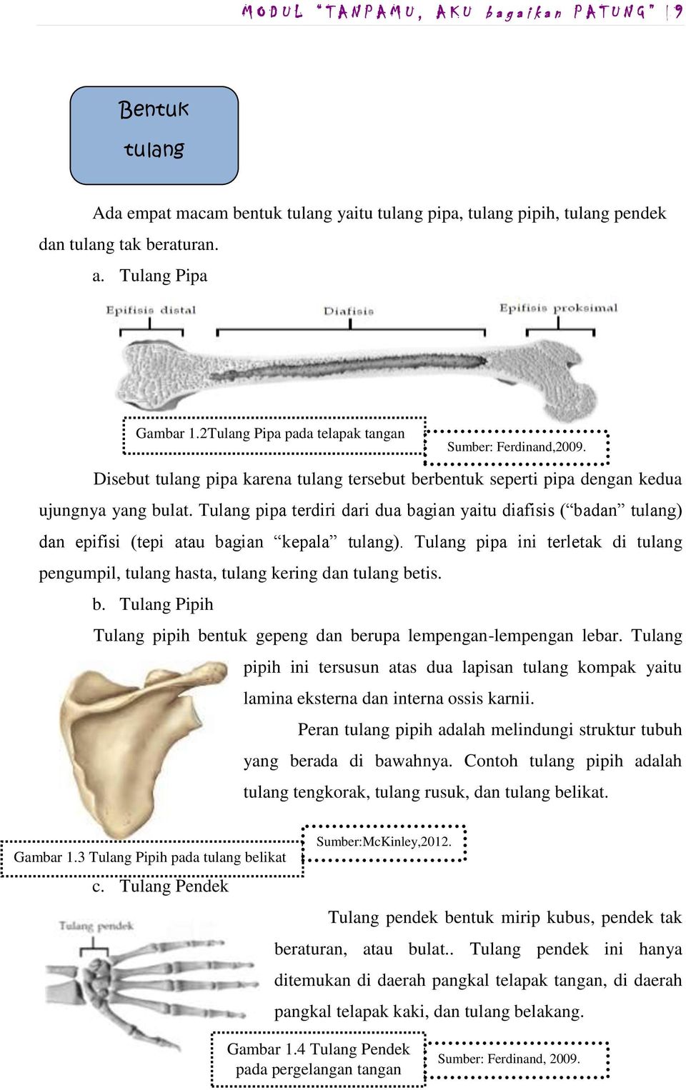 Detail Contoh Tulang Tak Beraturan Nomer 32