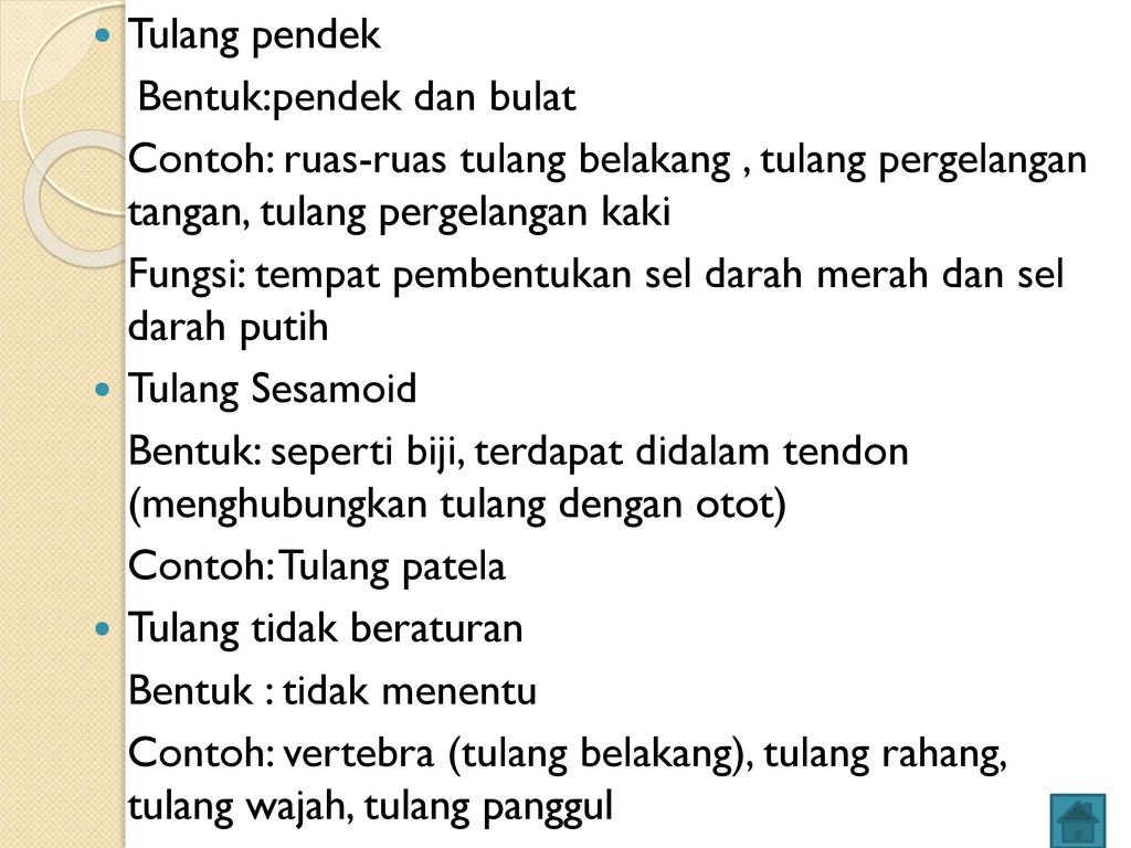 Detail Contoh Tulang Tak Beraturan Nomer 39